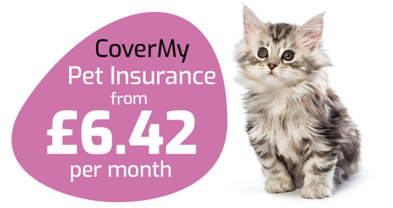 Cat Insurance