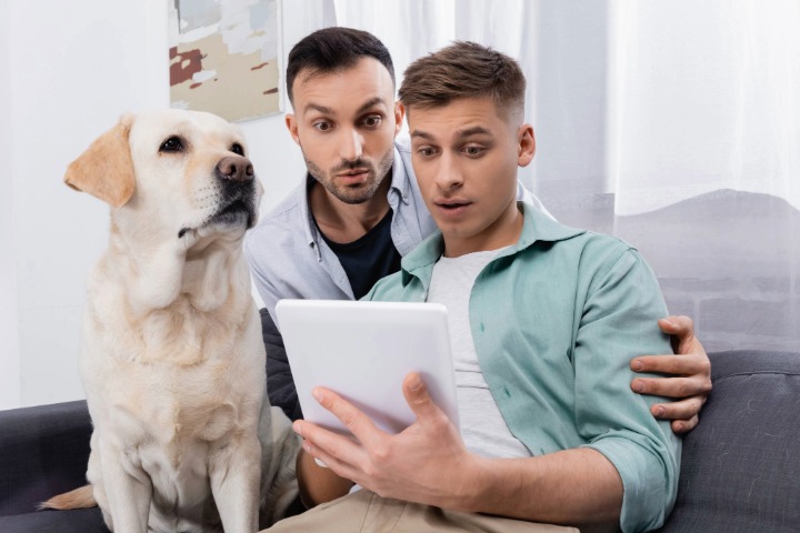 surprised men looking at digital tablet near dog in living room